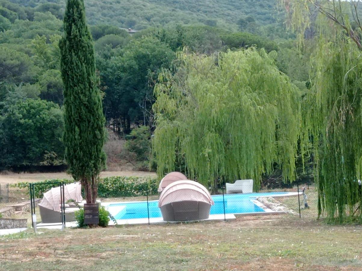 I Salici Agriturismo Badia Agnano Exterior photo
